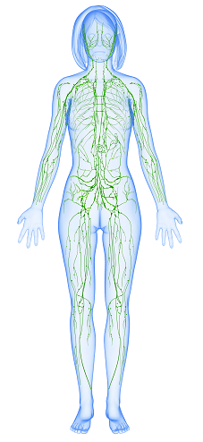 7 Ways to Improve Lymphatic Health in Akron